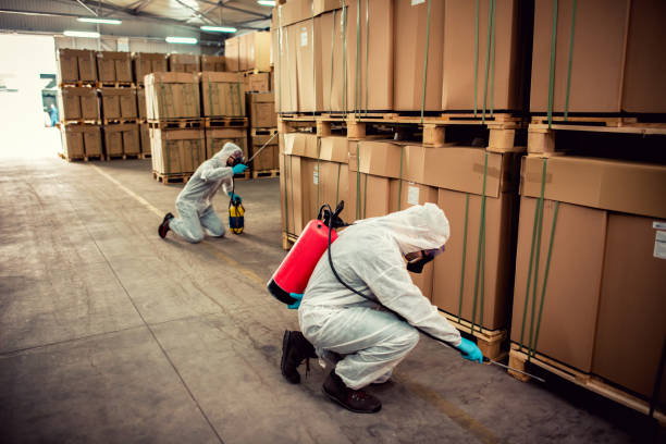Best Wildlife Control Services  in Caoncito, NM