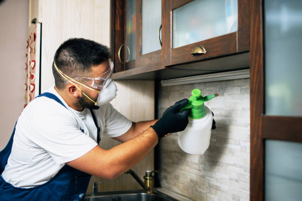 Best Pest Control Near Me in Caoncito, NM
