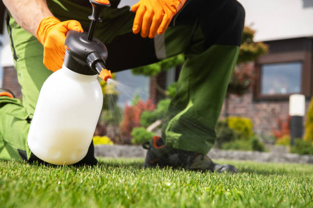 Flea Control Services in Caoncito, NM