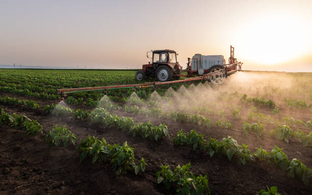Best Pest Prevention Services  in Caoncito, NM