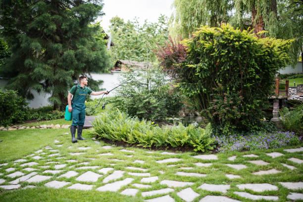 Best Pest Control Treatment  in Caoncito, NM