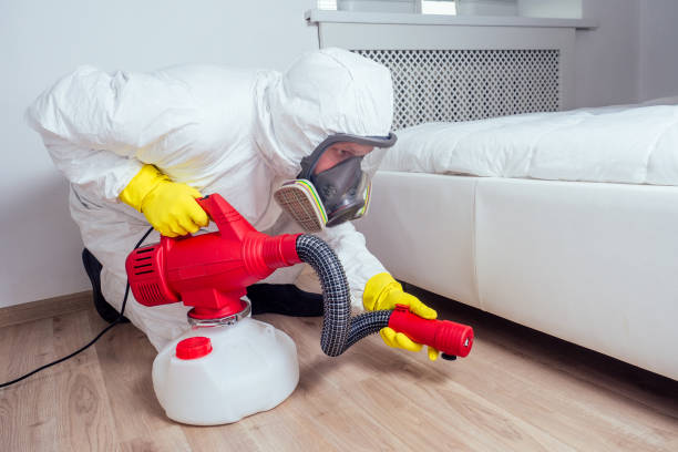 Best Pest Removal Services  in Caoncito, NM