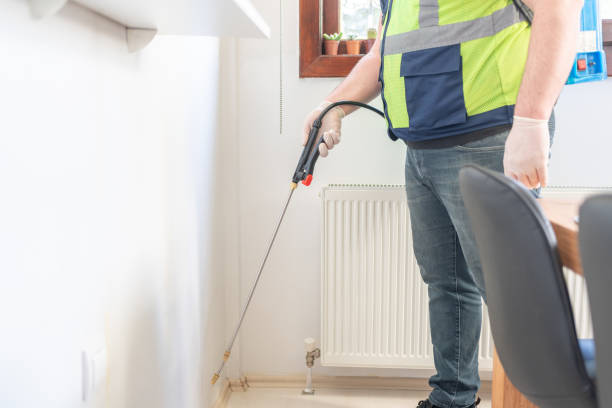 Best Best Pest Control Companies  in Caoncito, NM