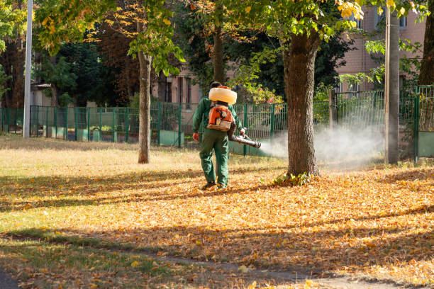 Professional Pest Control in Caoncito, NM