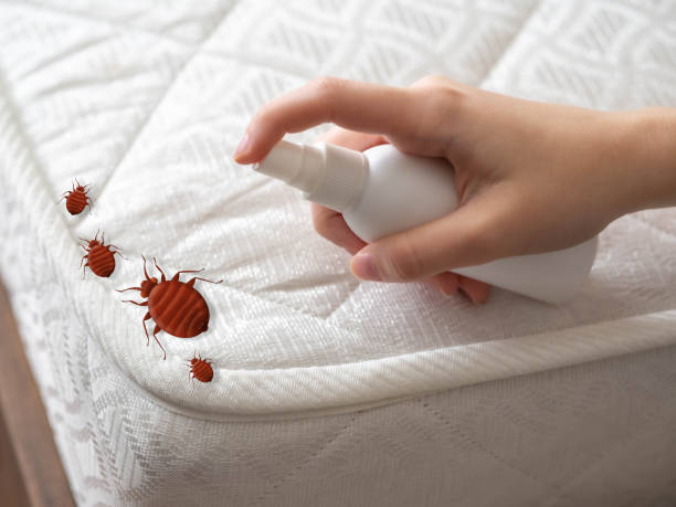 Best Pest Inspection Near Me  in Caoncito, NM