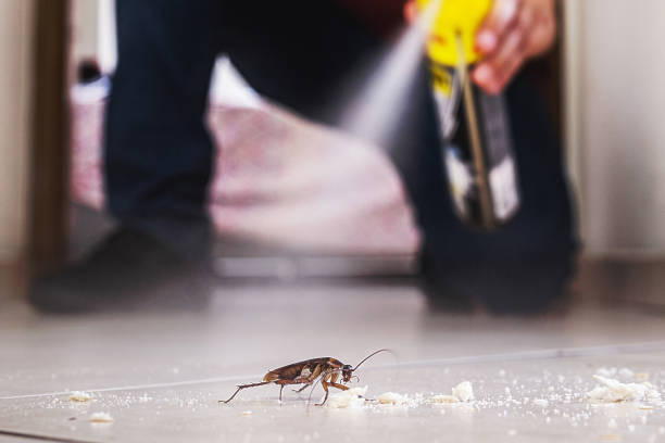 Wildlife Control Services in Caoncito, NM