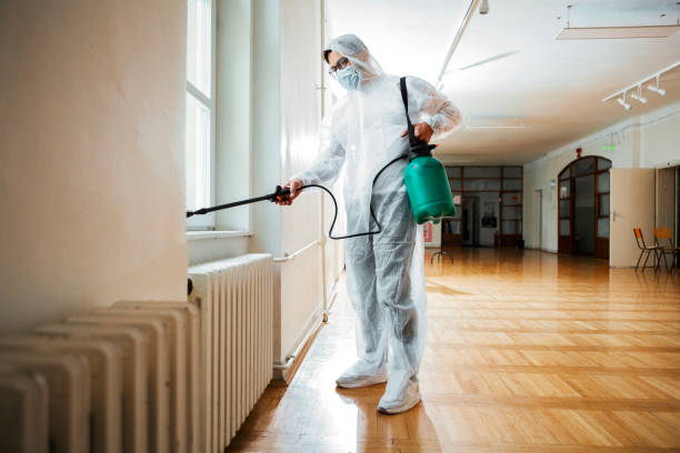 Best Mosquito Control Services  in Caoncito, NM