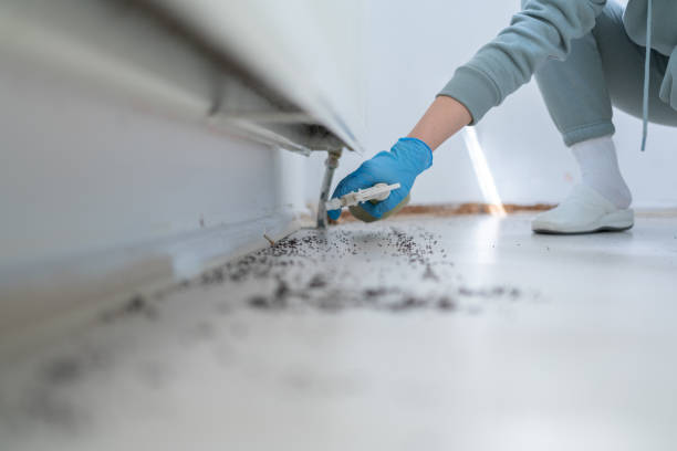 Best Pest Inspection Near Me  in Caoncito, NM