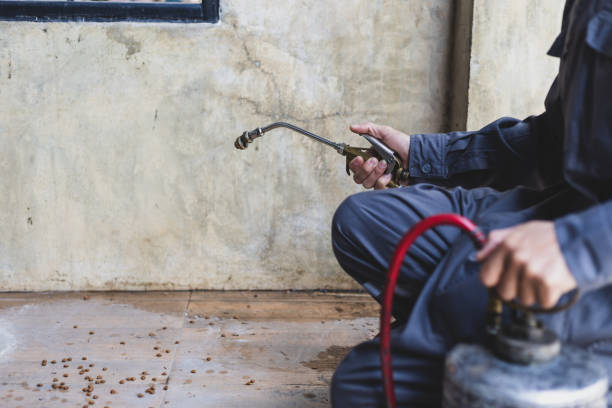 Best Affordable Pest Control Services  in Caoncito, NM